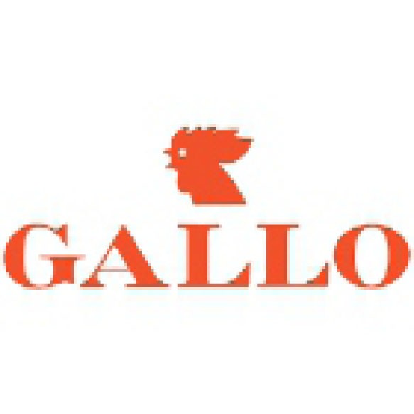 Swimsuits Gallo Man